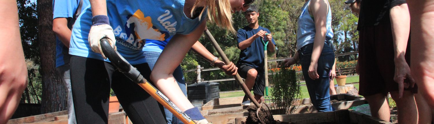 Students in urban agriculture class harvest new skills, knowledge ...