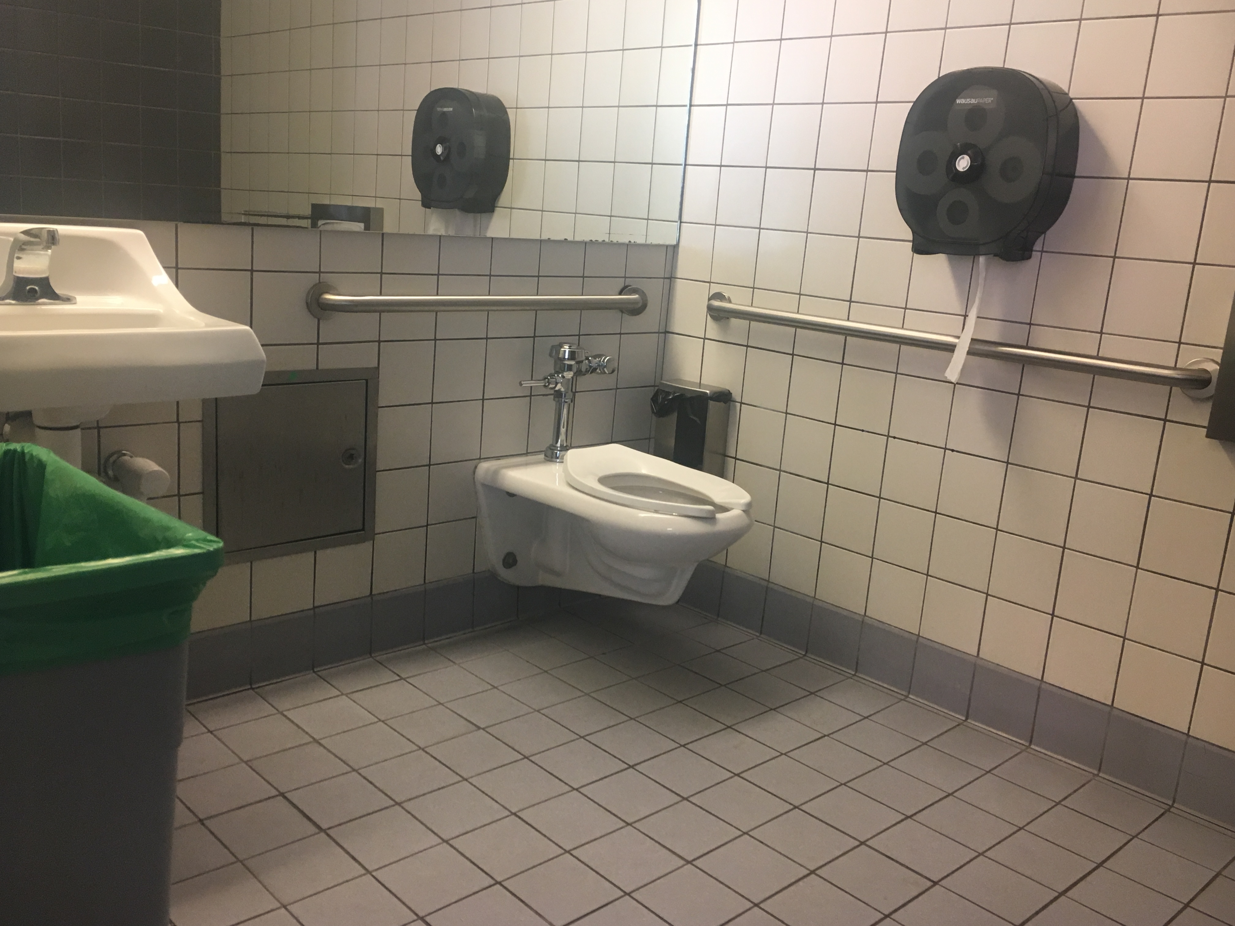 The interior of a wheelchair accessible companion/ all-gender bathroom