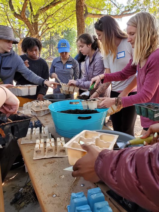 UCLA community members place soil into potters.