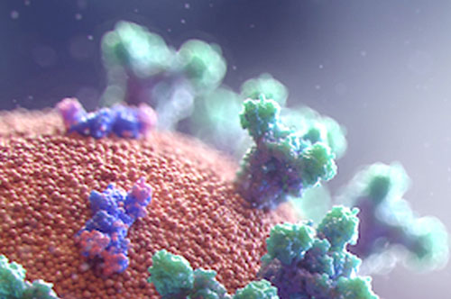 Coronavirus (COVID-19) - Semel HCI Center