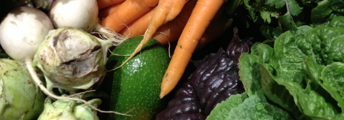an image of a variety of vegetables