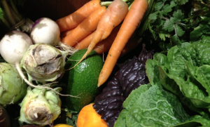 an image of a variety of vegetables