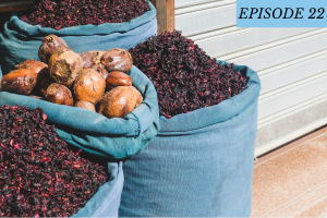 Episode 22 featured image: Sacks of various herbs.