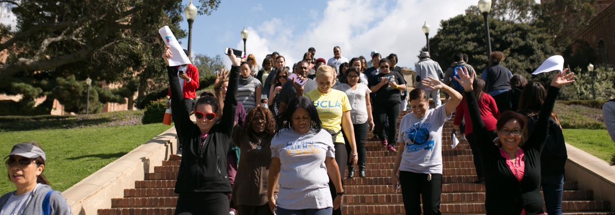 A group of people walk down Jan Steps.