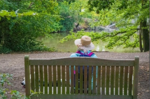 An individual sits on a bench in the middle of a small trail, with trees and a lake in the background.