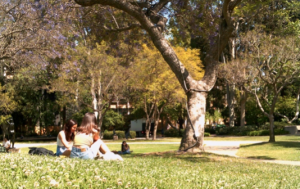 Students relax on a hill filled with flowers.