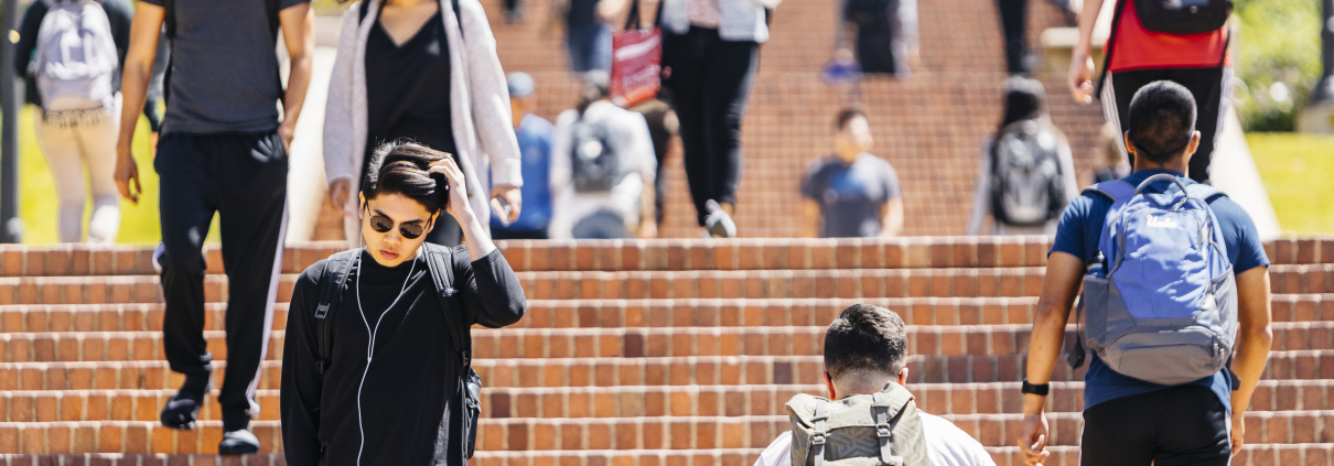 Students walk up and down Jan Steps.