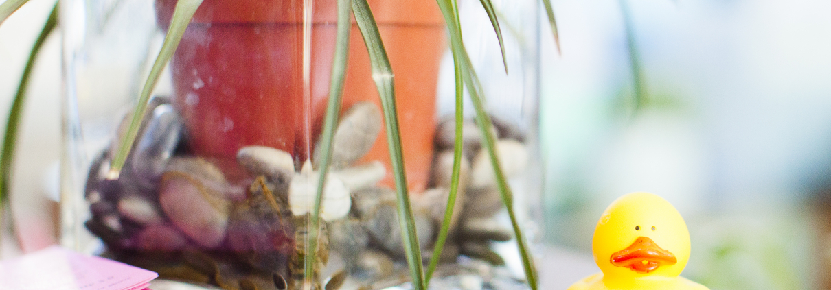 A closeup picture showcases a talle with a plant and a yellow duck with a 'Get Well Soon!' bandage.