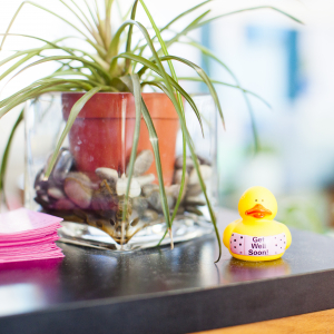 A closeup picture showcases a talle with a plant and a yellow duck with a 'Get Well Soon!' bandage.