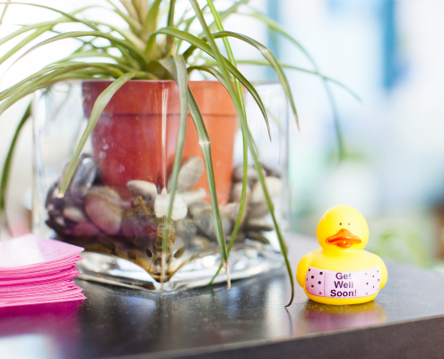 A closeup picture showcases a talle with a plant and a yellow duck with a 'Get Well Soon!' bandage.