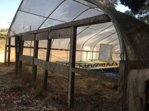 An old and empty greenhouse.