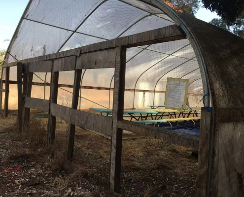 An old and empty greenhouse.