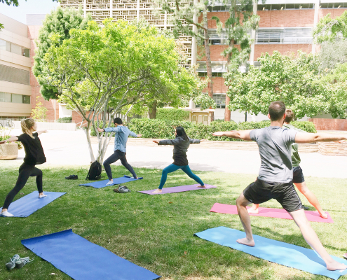 People practice yoga and stretches on a yoga mat in the Court of Sciences.