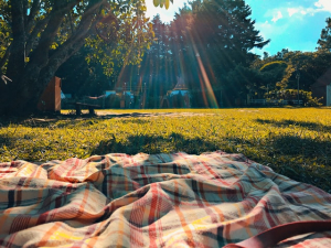 Photo of picnic blanket set out on a green, grassy field during a bright day.