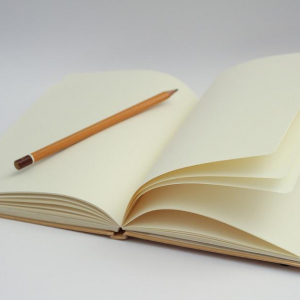 An open, empty notebook with a pencil placed in the middle.