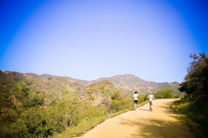 A landscape view showcases individuals running on a hiking trail.