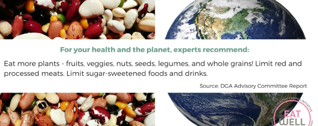 DGA Advisory Committee Report Banner