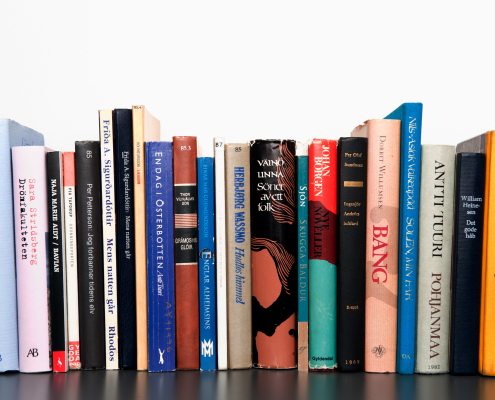 An array of books on a shelf.