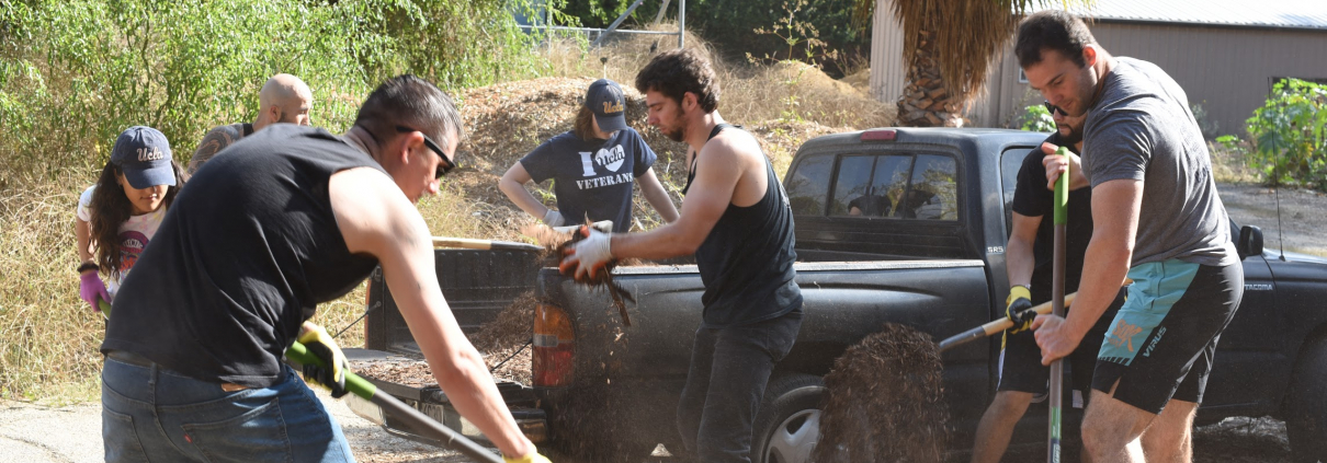A group of volunteers garden with one another.
