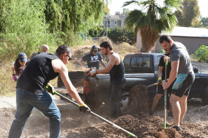 A group of volunteers garden with one another.