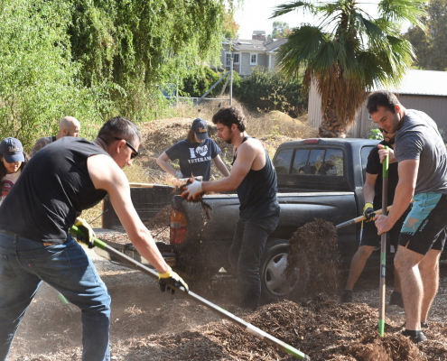 A group of volunteers garden with one another.