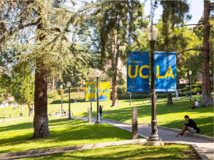 Photo of UCLA featuring bright green grass and a stone walkway.