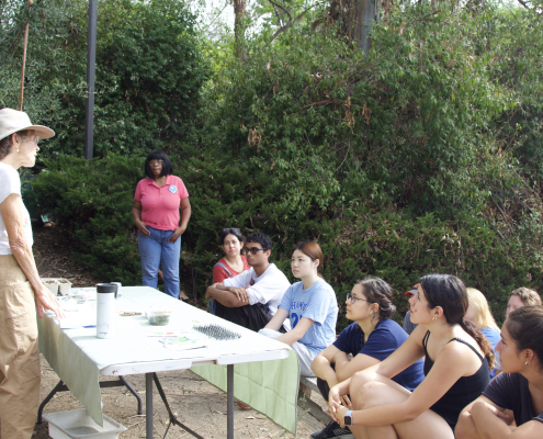 Master Gardener teaches introductory gardening principles to 9 pictured workshop attendees. They are separated by a table which has seed packets and other gardening supplies for demonstration.